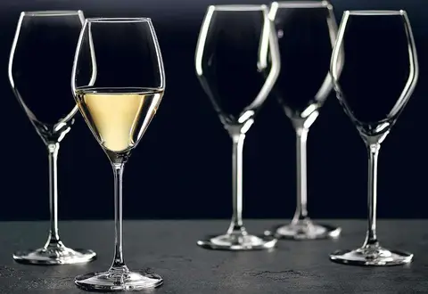 Weißweinkelche 6 Stk. Salsa aus Glas