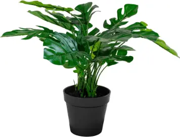 Kunstpflanze Monstera grün H 45 aus PE – Kunststoff