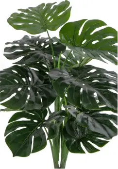 Kunstplanze Monstera, Grün aus PE- Kunstpflanze – Ansicht 2 – Ansicht 2