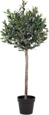 Olivenbaum H120cm, Grün aus PE – Kunststoff, Polyester