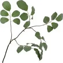 Handgefertigte Kunstblume EUKO H166, Braun, Salbei aus Kunststoff