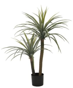 Drachenbaum Pflanze im Topf mit einer Höhe von 110 cm, ideal für die Innenraumdekoration und zur Verbesserung der Luftqualität.