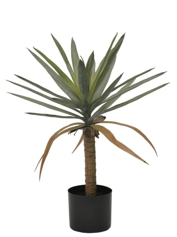 Kunstpflanze Drachenbaum mit einer Höhe von 62 cm, ideal für die dekorative Raumgestaltung und pflegeleicht.