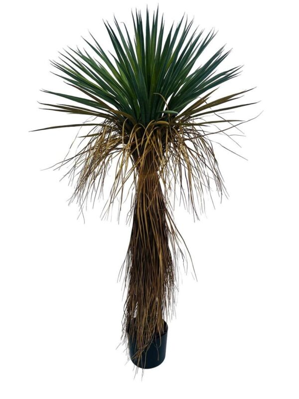 Kunstpflanze Yucca Rostrata in Höhe von 120 cm, pflegeleicht und ideal für die Inneneinrichtung als dekorativer Grünpflanze.