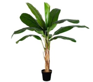 Kunstpalme Banana TREE mit einer Höhe von 150 cm ideal für die dekorative Einrichtung von Wohnräumen und Büros.