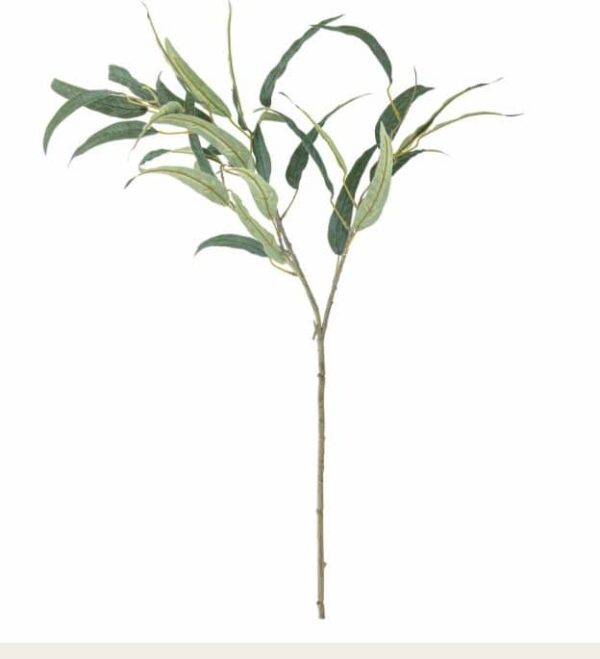 Eucalyptus Stiel für aromatische Düfte und natürliche Dekoration in verschiedenen Räumen