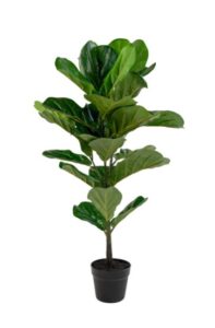 Kunstpflanze FIDDLE LEAF H100 in hochwertiger Verarbeitung für eine stilvolle Raumgestaltung, pflegeleicht und langlebig.