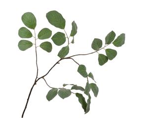 Handgefertigte Kunstblume EUKO H166 in eleganter Vase, ideal für dekorative Raumgestaltungen und langlebigen Blumenschmuck.