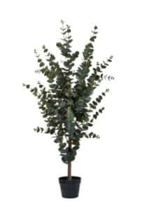 Eucalyptus Baum Höhe 120 cm grüner Indoor Pflanzenbaum natürlicher dekorativer Zimmerpflanze