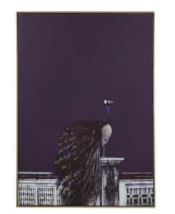 Bild Pavo Real Pfau 100x140 hochwertiges Wandbild mit farbenfrohem Pfau-Motiv in großzügigem Format ideal zur Raumdekoration