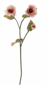 Blumenstiel Chrysantemum Rose in zartem Rosa mit grünen Blättern – frische Schnittblume für dekorative Blumenarrangements