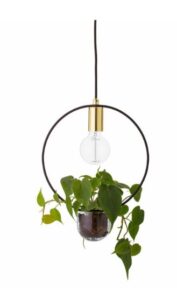 Hängeleuchte Caralina in elegantem Gold mit modernem Design und warmem Licht